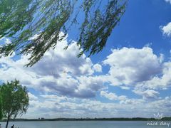 -丁香湖公园