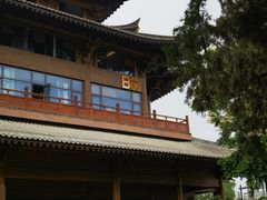 -菩提树下茶咖鼓捣
