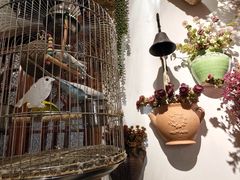 -观盐·盐帮菜(官园桥店)