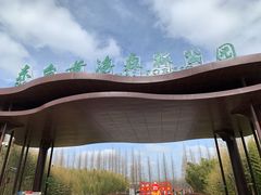 -黄海国家森林公园