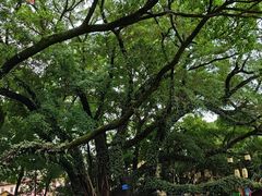 -桂林独秀峰王城景区