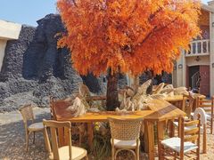 -Blue Concept Cafe&Farm·關於藍