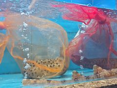 -钱山海鲜大排档