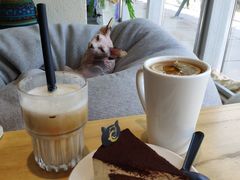 -藏猫猫咖啡主题馆(中央大道店)