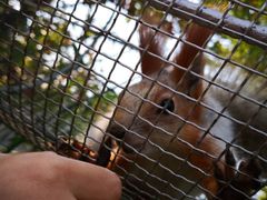 -西霞口神雕山野生动物世界