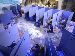 -成都浩海立方海洋公园