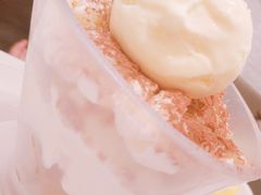 经典提拉米苏芝士雪-满记甜品(日月光二店)