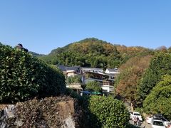 -龙井村