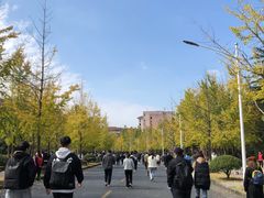 -浙江农林大学(东湖校区)