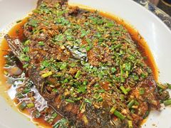 土匪鱼-土匪鱼酒店