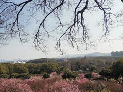 -无锡梅园公园