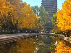 -玲珑塔公园