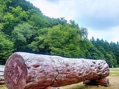 -本溪汤沟绿石谷森林公园