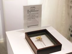 -厦门失恋博物馆(中华城店)