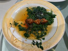碧绿圈子-上海德兴馆(昌里店)