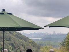 -韬光茶庵