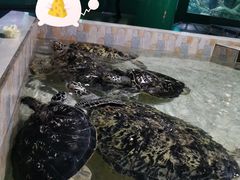-常州海昌海洋探索馆