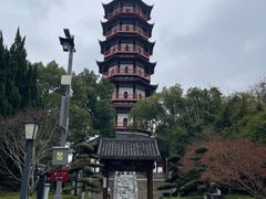 -绳金塔