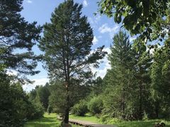 -北极村旅游风景区