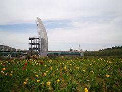 -微山湖红荷湿地景区