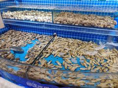 -乔哥铭洋海鲜自助(皇城恒隆广场店)