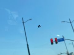 -圣手汽车凹陷修复玻璃修复(上海店)