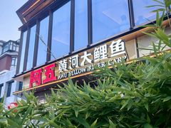 -阿五黄河大鲤鱼(英协路店)