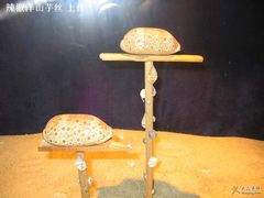 -亚龙湾中心广场·贝壳馆