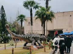 -自贡恐龙博物馆