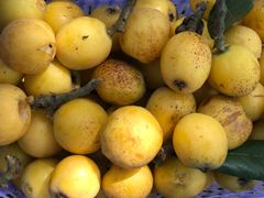 -塘栖枇杷特色园区