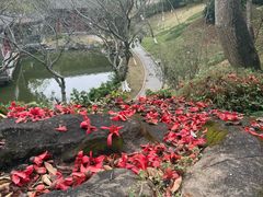 -珠海圆明新园
