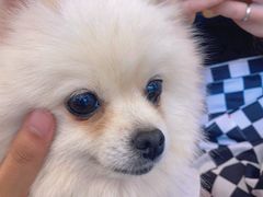 -怪兽屋·羊驼·猫咖·狗咖(俊华广场店)