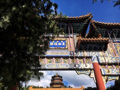 -北京大学-学五食堂