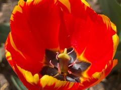 -西宁市人民公园(城西区)