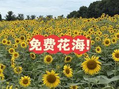 -苏州湾体育公园