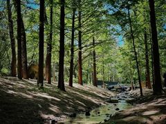 -白水寺森林公园