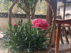 -不倒翁·徽天下名菜楼(马鞍山路店)