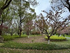 -昆山城市生态森林公园