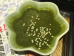 -海桐