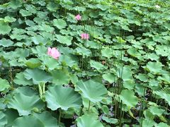 -喜虾客·大虾火锅(郑州无限城店)