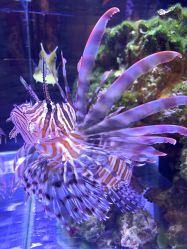 -Zoolung Zoolung动物主题公园(海信广场店)