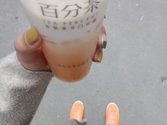 告白芒芒-百分茶(九洲新世界店)