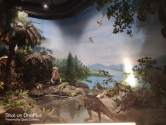 -辽宁古生物博物馆