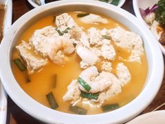 -前海沿·青岛菜(大拇指广场石老人店)