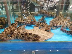 -海铺·渔家虾水饺(皇姑店)