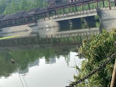 -重庆彩云湖湿地公园