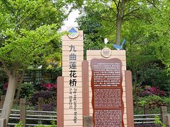 -大湾区中央湿地公园