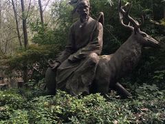 -溱湖国家湿地公园