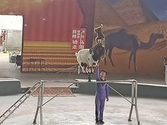 -石家庄市动物园