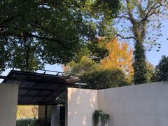 -九里云松·天香餐厅